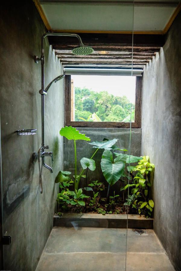 Banana Bunks Kandy Extérieur photo